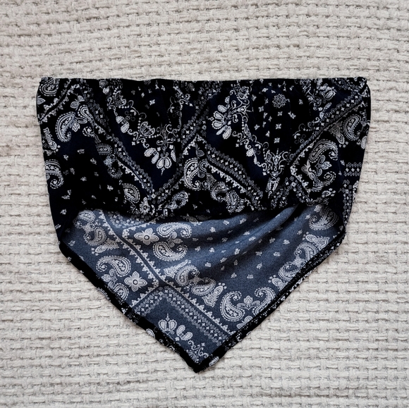 Western Crop Top - Picture 4 of 4